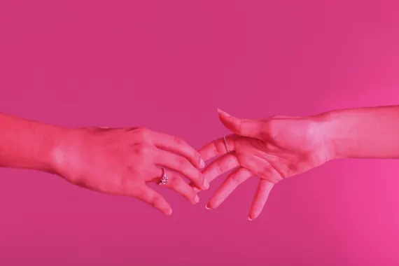 Rex Casino Ënnerstëtzung